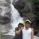 청학동 Daum카페
