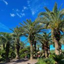 상가리농장 이미지