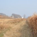 왕순례묘 네이버블로그