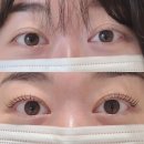 굿마트 용인구갈점 | [용인/기흥 속눈썹] 금손 원장님계신 "커밍쑨" 속눈썹펌 후기💖!!!
