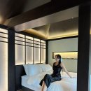 스테이담안 이미지