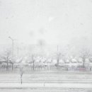 행정사가맹거래사사무소 성찬 이미지