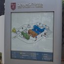 19기 행복공감봉사단 4월 플로깅 환경정화 봉사활동