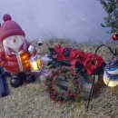 달고펜션 이미지