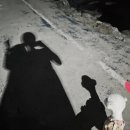 이코그루밍 네이버블로그