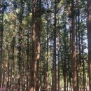 정남진센터-9 이미지