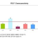 로얄동물외과수술센터