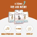 대주로 이미지
