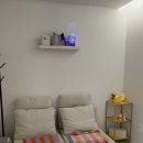 솔펜션 | 강원도 홍천 애견독채펜션 감성숙소 솔아페 내돈내산 후기