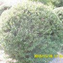 석전농장 이미지