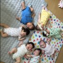 마레휴플러스 이미지