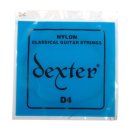 클래식기타 (D) 이미지