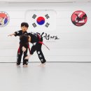 드림태권도전문도장 이미지