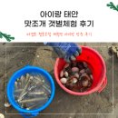 충남한우협동조합 | 아이랑 태안 갯벌체험장 마검포협동조합 체험장 후기 및 준비물