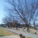 원천초등학교 이미지