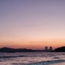영진돼지국밥 이미지