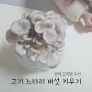 율이농장 이미지