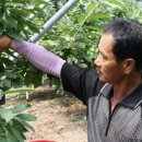 대양농장 이미지