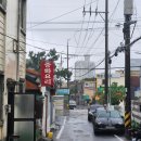 4256 | 대전 생활의 달인 맛집, 20인분 한정 볶음밥, "무주반점"