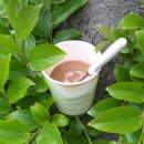 뱃고동 선착장 이미지