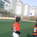 장덕초교 이미지