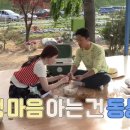 정은농장 이미지