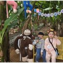 예성태권도 이미지