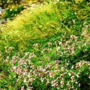 등산로(하) 이미지