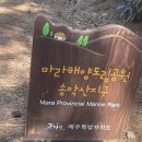 제주제주 누가말했나 내가말했지 🏝 서귀포의 모든것