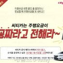 씨티카써비스 이미지