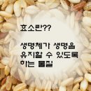 (주)좋은효소