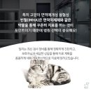 신영통동물병원 이미지