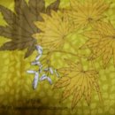 도미니꼬 애덕 어린이집 이미지