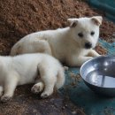 안서농장 이미지