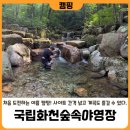 38야영장 | [강원도] 숲나들e 대기 1순위! 첫 여름 계곡 캠핑! 캠핑장 상세안내 (국립화천숲속야영장)