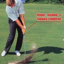 비티골프스튜디오 이미지