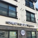 편백돈나무 | 제주 서귀포시 화순리 '편백 돈나무' 솔직 후기