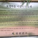 모정 이미지