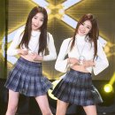 스텔라 이미지