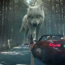 숲의 아이 이미지