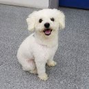 논산전문카 네이버블로그