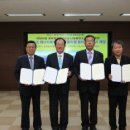 협력 태양광발전소 이미지