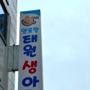 양포 아구불고기