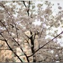 빌라소르티노 | 이태원 '비스테까' - 스테이크, 파스타