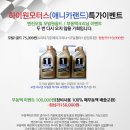 하이원모터스 Daum카페