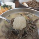 봉평옹심이 메밀칼국수 불광점 | 응암역 칼국수 맛집 / 속 풀리는 쫀득함! 봉평 옹심이메밀칼국수 솔직후기