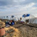 김제광활간척지쌀 이미지