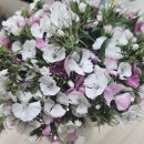 남사-10 | 남사 화훼단지 생화 친구플라워 방문 후기