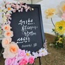 승기천 | 승기천 꽃피나 봄 축제는 도심 속에서 자연과 문화를 동시에 즐길 수 있는 특별한 경험