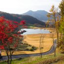 동촌골프장 이미지